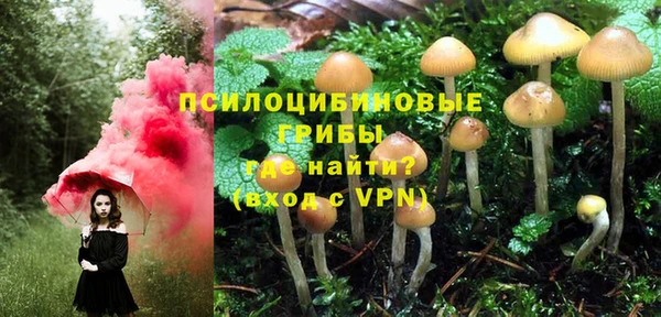 мяу мяу мука Михайлов