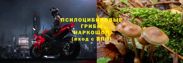 мяу мяу мука Михайлов