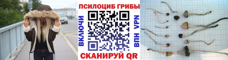 Купить где Донской Псилоцибиновые грибы прущие грибы