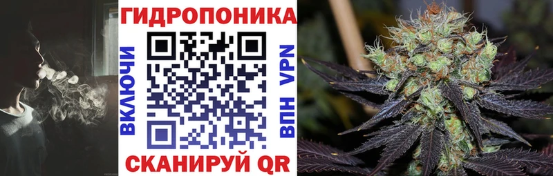 Марихуана семена Купить закладки Донской